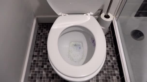 Water level raising and falling in a toilet — Stock Video