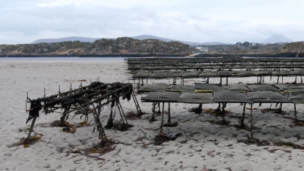 Oyster tarım ve istiridye tuzakları, County Donegal, İrlanda Carrickfinn tarafından yüzen örgü torbalar — Stok video