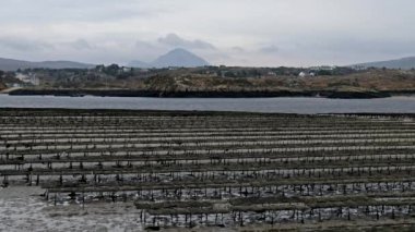 Oyster tarım ve istiridye tuzakları, County Donegal, İrlanda Carrickfinn tarafından yüzen örgü torbalar
