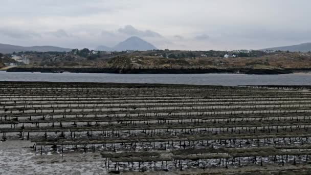 Granjas de ostras y trampas para ostras, bolsas de malla flotantes de Carrickfinn en el Condado de Donegal, Irlanda — Vídeos de Stock