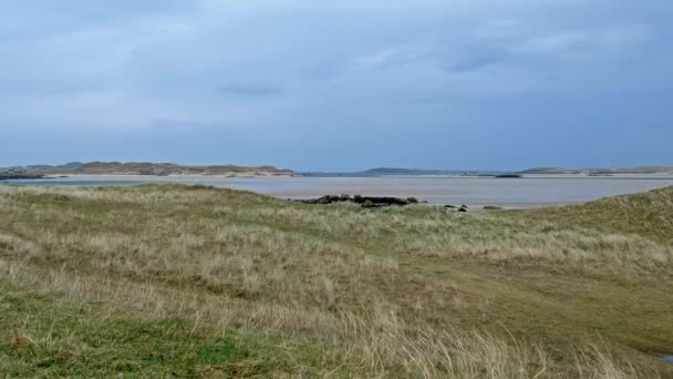 Carrickfinn Sandy Beach, Donegal, Irlandia — Wideo stockowe