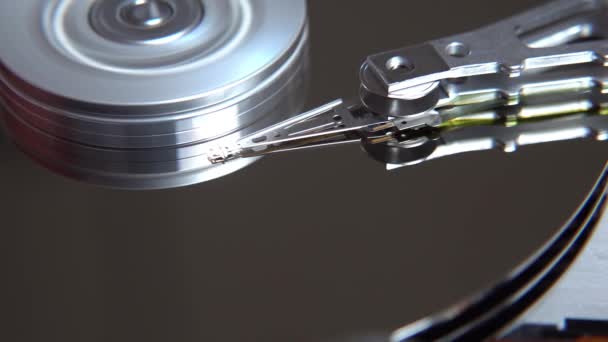 Close-up van een besturings computer hard disk lezen en schrijven van gegevens — Stockvideo