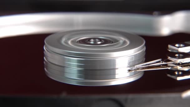 Close-up of an operating computer harddisk reading and writing data — Stock Video