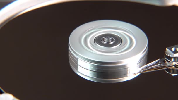 Close-up de um computador operacional dados de leitura e escrita de disco rígido — Vídeo de Stock