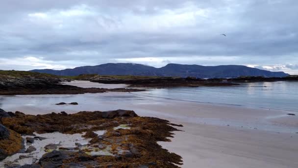 Rosbeg is een van de mooiste stranden van Donegal, Ierland — Stockvideo
