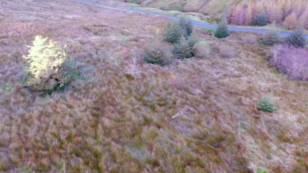 Flygfoto över Glengesh Pass av Ardara, Donegal, Irland — Stockvideo