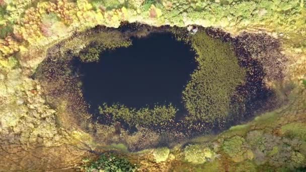 Aerial of lake in a peatbog by Clooney, Portnoo - County Donegal, Ιρλανδία — Αρχείο Βίντεο