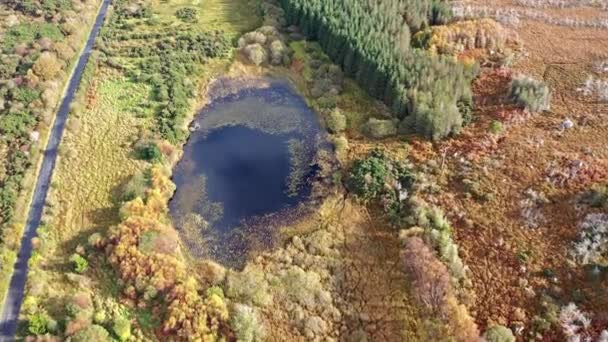 Aerial of lake in a peatbog by Clooney, Portnoo - County Donegal, Ιρλανδία — Αρχείο Βίντεο