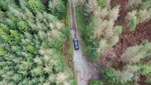 4x4 pickup vozidla projíždějící lesem - všechny značky odstraněny — Stock video