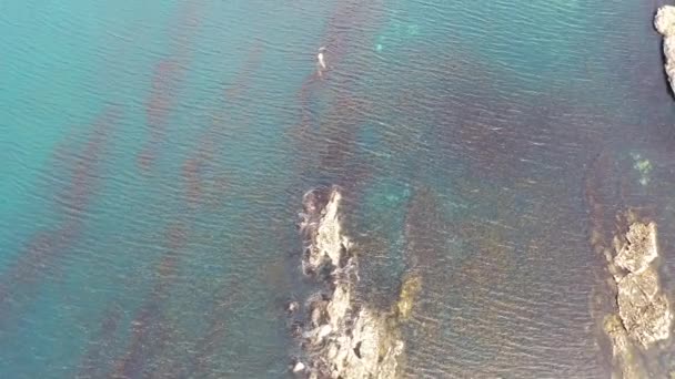 Вид з повітря на риф від Carrickfad на Нарін-Біч від округу Портноо Донегал, Ірландія — стокове відео