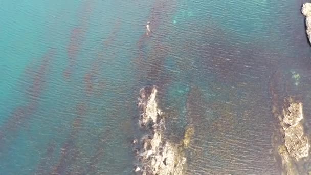 Vista aérea del arrecife de Carrickfad en Narin Beach por el Condado de Portnoo Donegal, Irlanda — Vídeo de stock