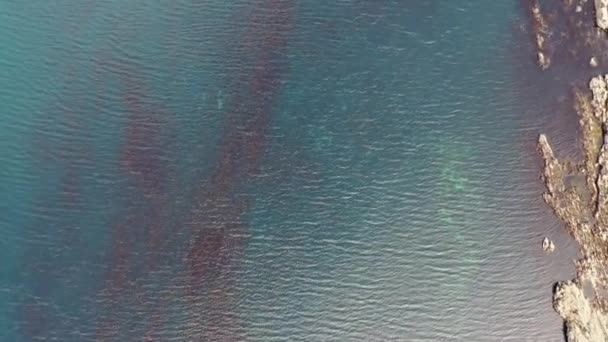 Vista aérea del arrecife de Carrickfad en Narin Beach por el Condado de Portnoo Donegal, Irlanda — Vídeo de stock