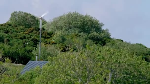 Un micro générateur d'énergie éolienne rotatif entre les arbres — Video