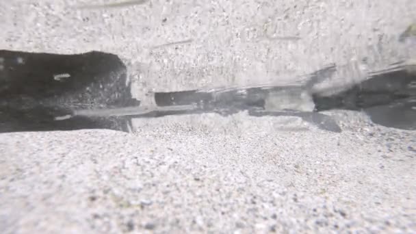 Víz alatti kilátás a Donegal nyugati parton a vad atlanti módon Írországban egy víz alatti patak jön a bal oldalon, beleértve az újszülött csecsemő hal — Stock videók