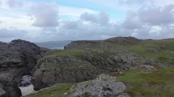 Widok z lotu ptaka na wybrzeże w Dawros w hrabstwie Donegal - Irlandia. — Wideo stockowe