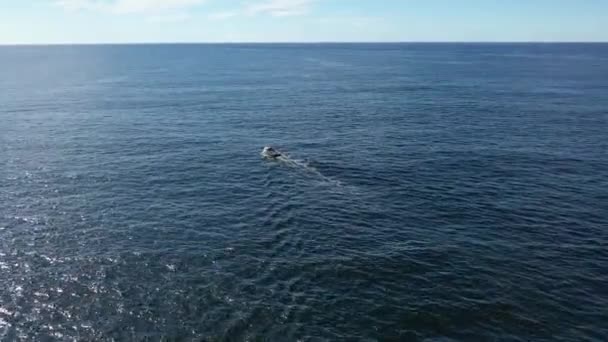 Donegal, İrlanda 'daki Dawros' ta balıkçı teknesi — Stok video