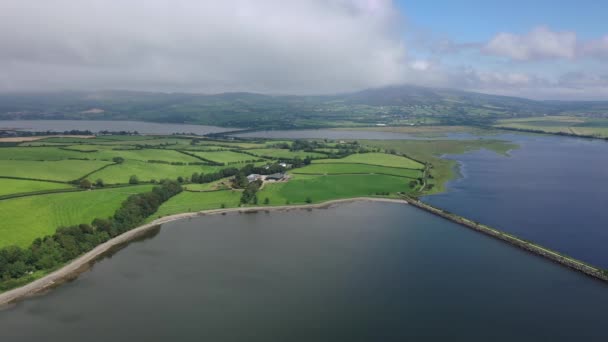 Aerial of Inch isalnd and parts of the Wildfowl Reserve Looped Walk — Stock Video