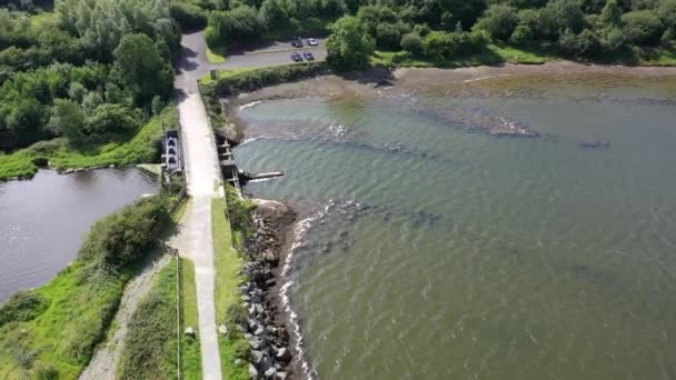 Ar de isalnd polegada e partes do Wildfowl Reserva Looped Walk — Vídeo de Stock