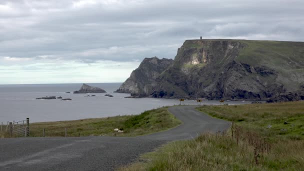 A incrível costa de Glencolumbkille Donegal - Irlanda — Vídeo de Stock