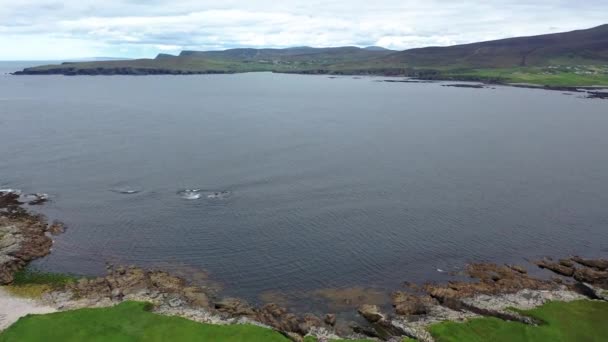 Glencolumbkile Donegalの素晴らしい海岸-アイルランド — ストック動画