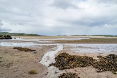 Donegal 'de Ardara ile Portnoo arasındaki Sheskinmore Doğa Koruma Alanı' ndaki Carn Sahili - İrlanda