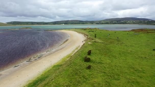 Gweebarra bay von Lettermacaward in County Donegal - Irland — Stockvideo