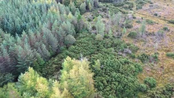 Voar sobre a floresta no Condado de Donegal - Irlanda. — Vídeo de Stock