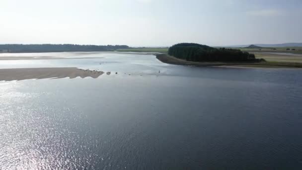 Flygfoto över sälkolonin vilande på sandbankar i grevskapet Donegal - Irland — Stockvideo