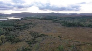 Donegal, İrlanda 'da bir peatbataklıkta güneşin doğuşuna doğru uçuyor..