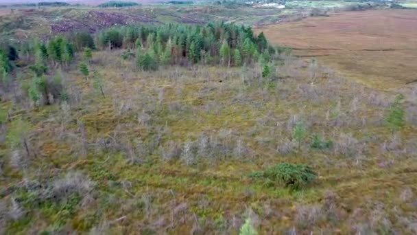 Sobrevolando el bosque en el Condado de Donegal - Irlanda. — Vídeo de stock