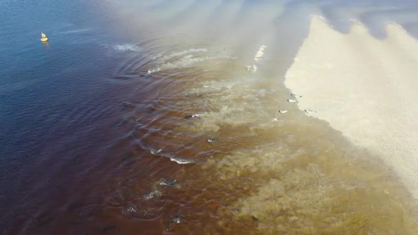Donegal, İrlanda 'daki kumsallarda bulunan fok kolonisinin hava görüntüsü. — Stok video