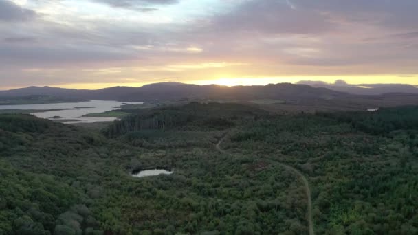 Bonny Glen, Portnoo, County Donegal - İrlanda 'da bir peatbataklıkta gün doğumu — Stok video