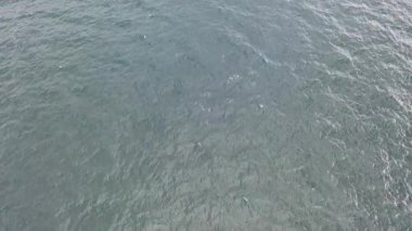 Sadece Donegal Körfezi 'ndeki Atlantik Okyanusu, İrlanda.