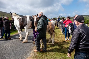 MEENAŞ, İKİNCİ DONEGAL, İRELAND - 4 AĞUSTOS 2025: Her yaştan biniciler Meencross Tarım Fuarı 'nın tadını çıkarıyorlar.