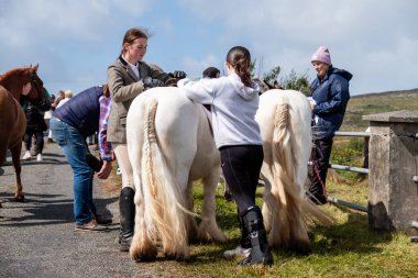 MEENAŞ, İKİNCİ DONEGAL, İRELAND - 4 AĞUSTOS 2025: Her yaştan biniciler Meencross Tarım Fuarı 'nın tadını çıkarıyorlar.