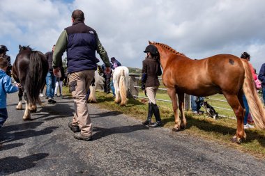 MEENAŞ, İKİNCİ DONEGAL, İRELAND - 4 AĞUSTOS 2025: Her yaştan biniciler Meencross Tarım Fuarı 'nın tadını çıkarıyorlar.