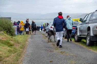 MEENACİL, İKİNCİ DONEGAL, İRELAND - 4 Ağustos 2025: Yerliler ve ziyaretçiler Meencross Tarım Fuarı 'nın tadını çıkarıyorlar.