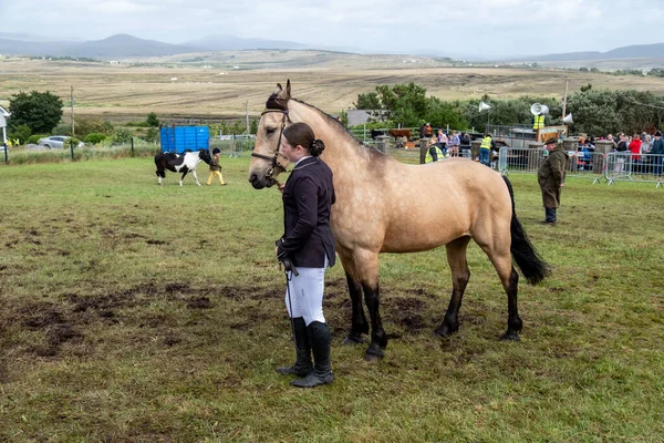 MEENAŞ, İKİNCİ DONEGAL, İRELAND - 4 AĞUSTOS 2025: Her yaştan biniciler Meencross Tarım Fuarı 'nın tadını çıkarıyorlar.