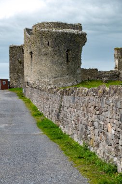 Roscommon Kasabası Şatosu