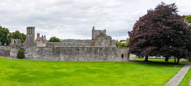 12. yüzyılda keşişler tarafından kurulan bir kilise manastırı olan Boyle Manastırı 'nın kalıntıları..
