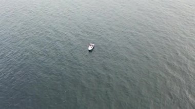 Kambur Balinalar, Megaptera novaeangliae, İrlanda Donegal Körfezi 'nde Bubble-Net beslenme.