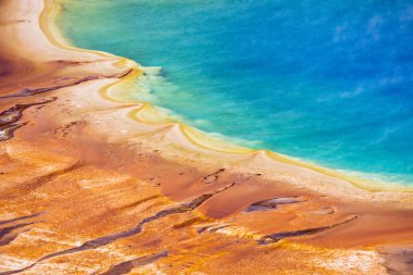 Grand Prizmatik bahar