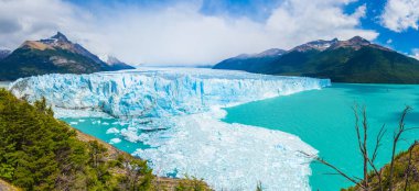 Arjantin 'de perito moreno buzulu