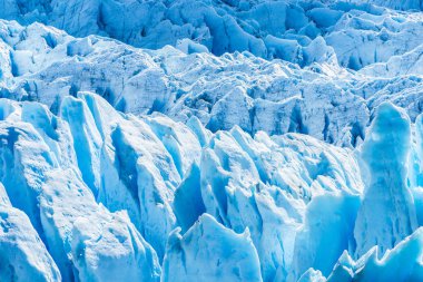 Perito Moreno Buzulu Arjantin detay