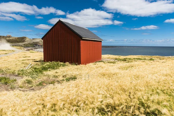 Rybářské chatě poblíž pobřeží v Tierra del Fuego — Stock fotografie