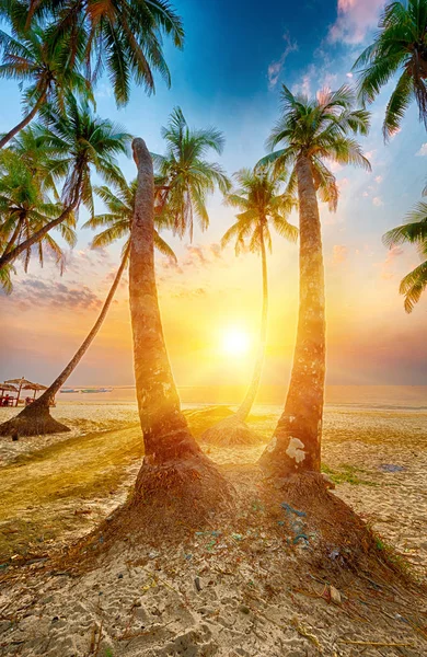 Spiaggia di Ngapali — Foto Stock