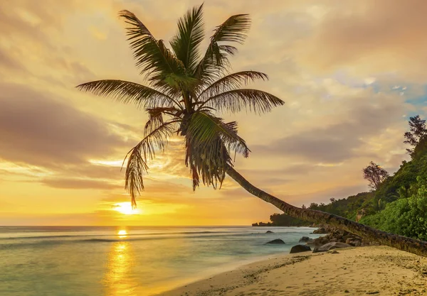 Barbados — Stockfoto