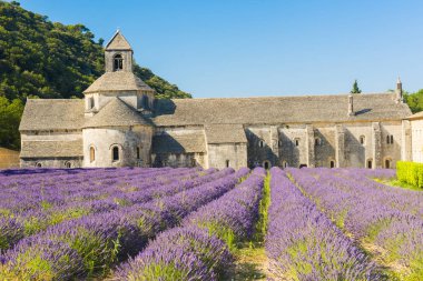 senanque Manastırı