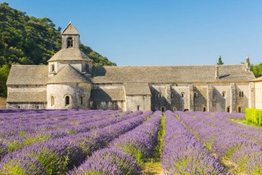 senanque Manastırı