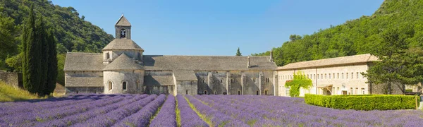 Senanque abbey — Stockfoto